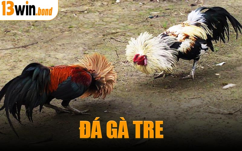 Đá Gà Tre