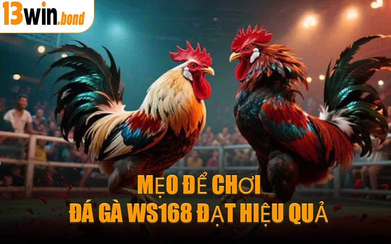Mẹo Để Chơi Đá Gà WS168 Đạt Hiệu Quả
